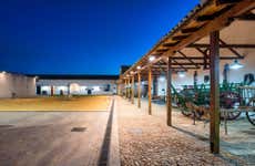 Tour privado por Valdepeñas ¡Tú eliges!