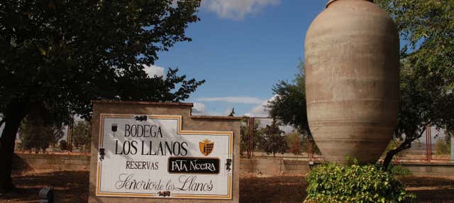 Visita a la bodega Los Llanos y la Cueva del Arte