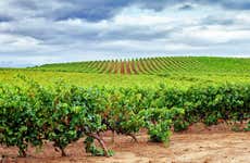 Visita guiada por Valdepeñas + Museo del Vino