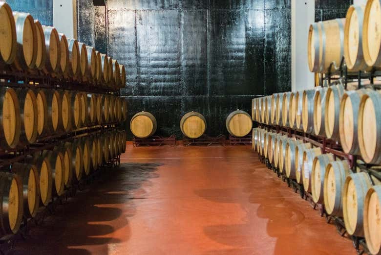 Check out the barrel room