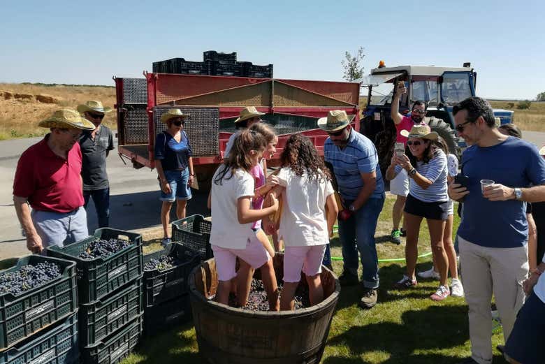 Get involved in the wine-making process!