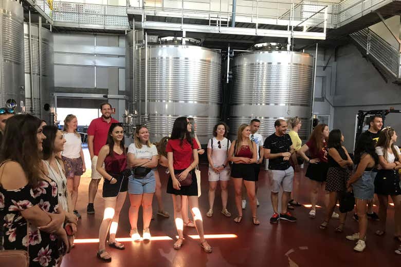 Visitando las instalaciones de la bodega