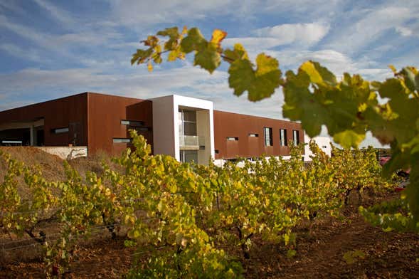Leyenda del Páramo Winery Visit