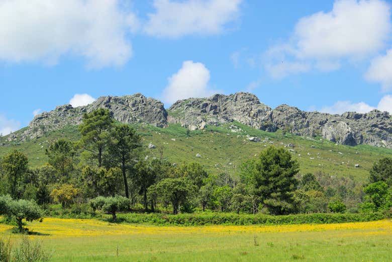 Berrocal de la Data