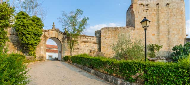 Visita guiada por el castillo de Valencia de Alcántara