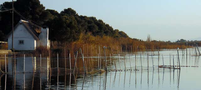 Autobús turístico de la Albufera + Paseo en barca