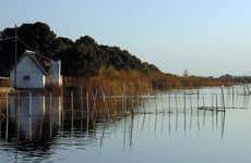 Autobús turístico de la Albufera + Paseo en barca
