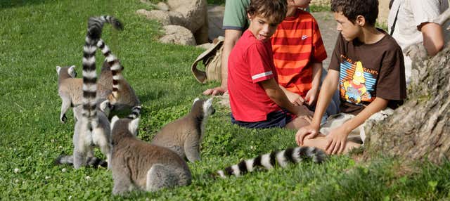 Biglietti per il Bioparc Valencia