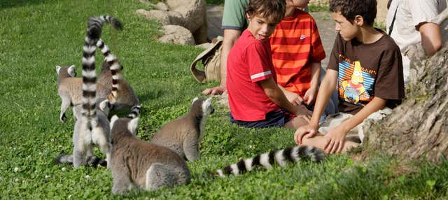 Ingresso do Bioparc Valência