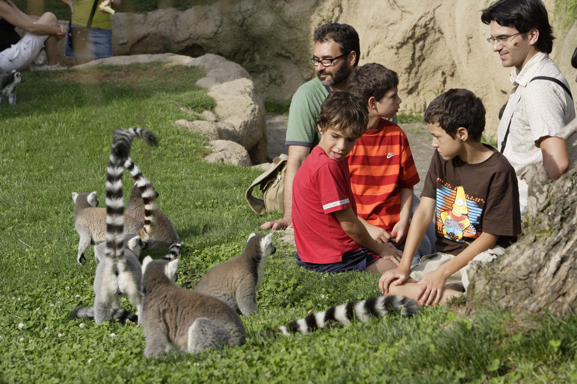 Entrada a Bioparc Valencia