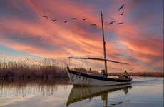 Excursión al Parque Natural de la Albufera y Cullera