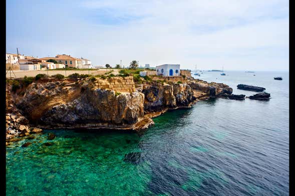 Excursión a la isla de Tabarca y palmeral de Elche