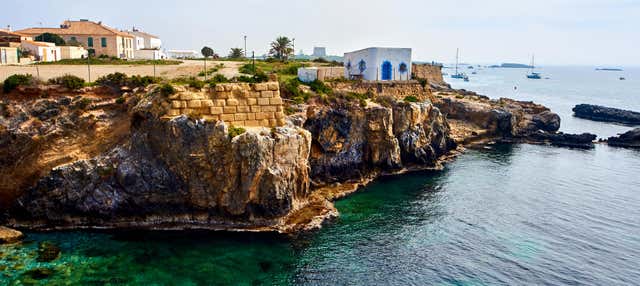 Excursão à ilha de Tabarca e palmeiral de Elche