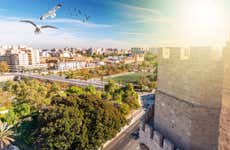 Free tour por Valencia en bicicleta