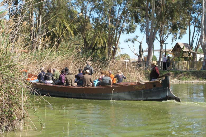 Giro in barca sull'Albufera