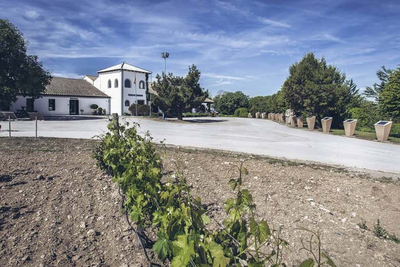 Chegando a uma das adegas