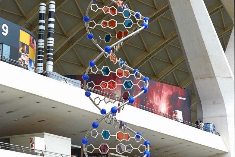 DNA sequence