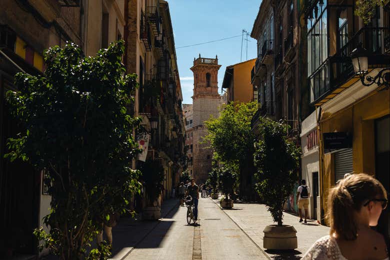 Pasearemos por los imprescindibles de Valencia