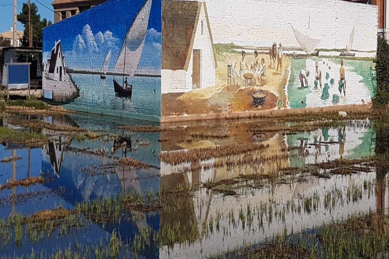 Visitando la Albufera