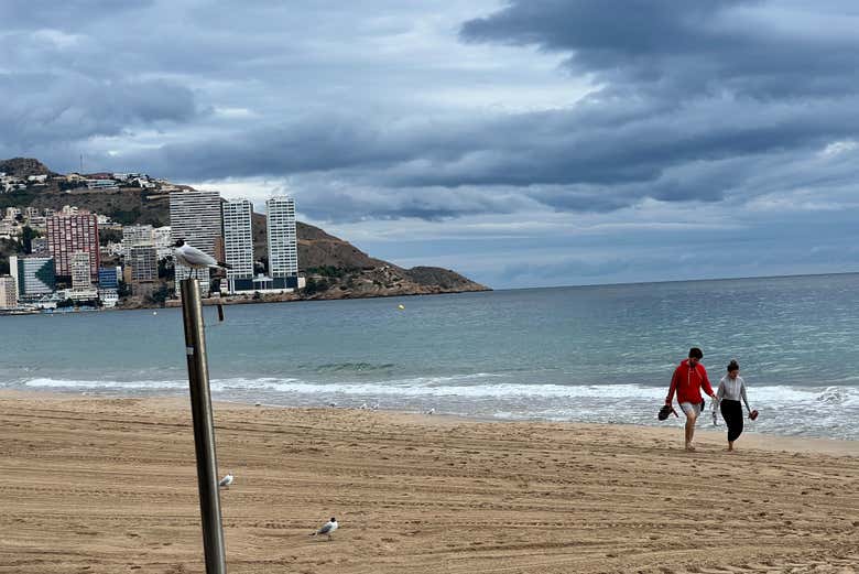 Stroll along tranquil beaches!