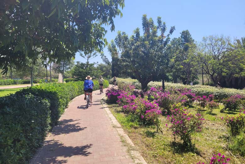 Balade à vélo dans Valence