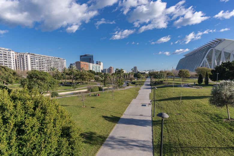 Tour en bicicleta por el Jardín del Turia