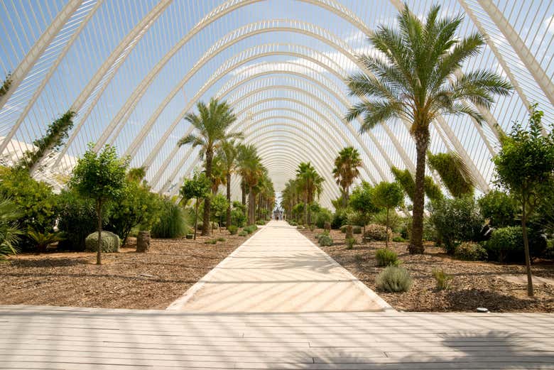 Jardín del Umbracle