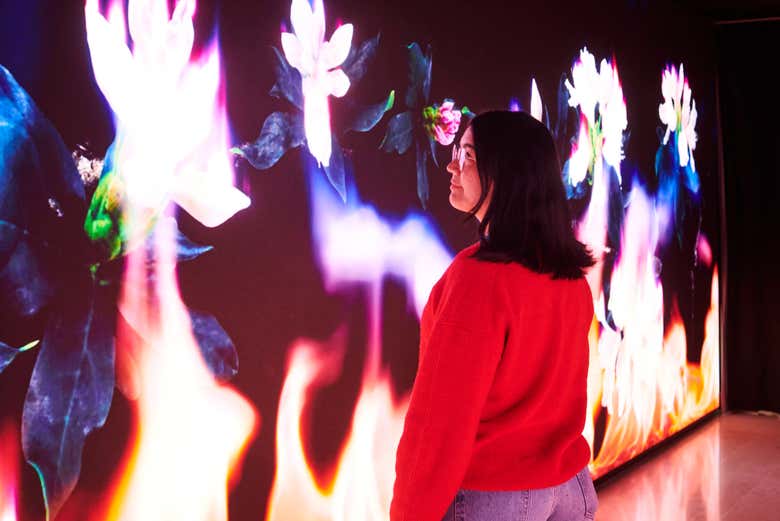 Enjoy the light projections