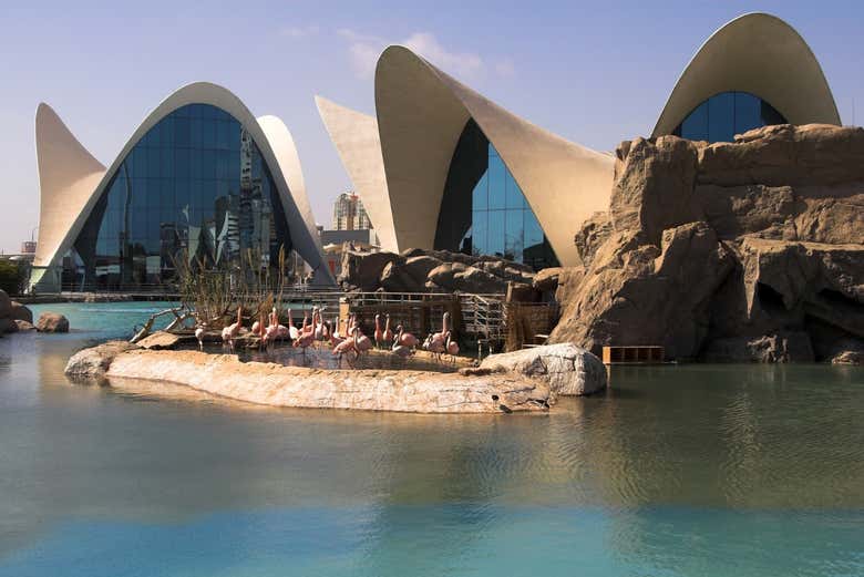 Oceanográfico de Valencia