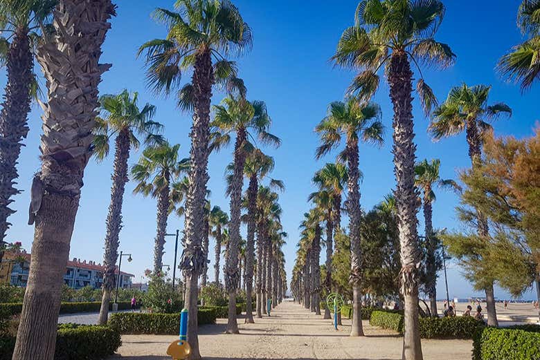 Palmeral del Cabañal