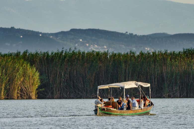 Paseo en barca por la Albufera