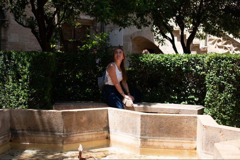 Jardines de la Lonja de la Seda de Valencia