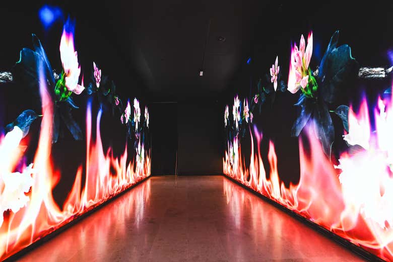 Transformer, by Mat Collishaw