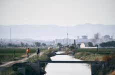 Tour en bicicleta por la Albufera