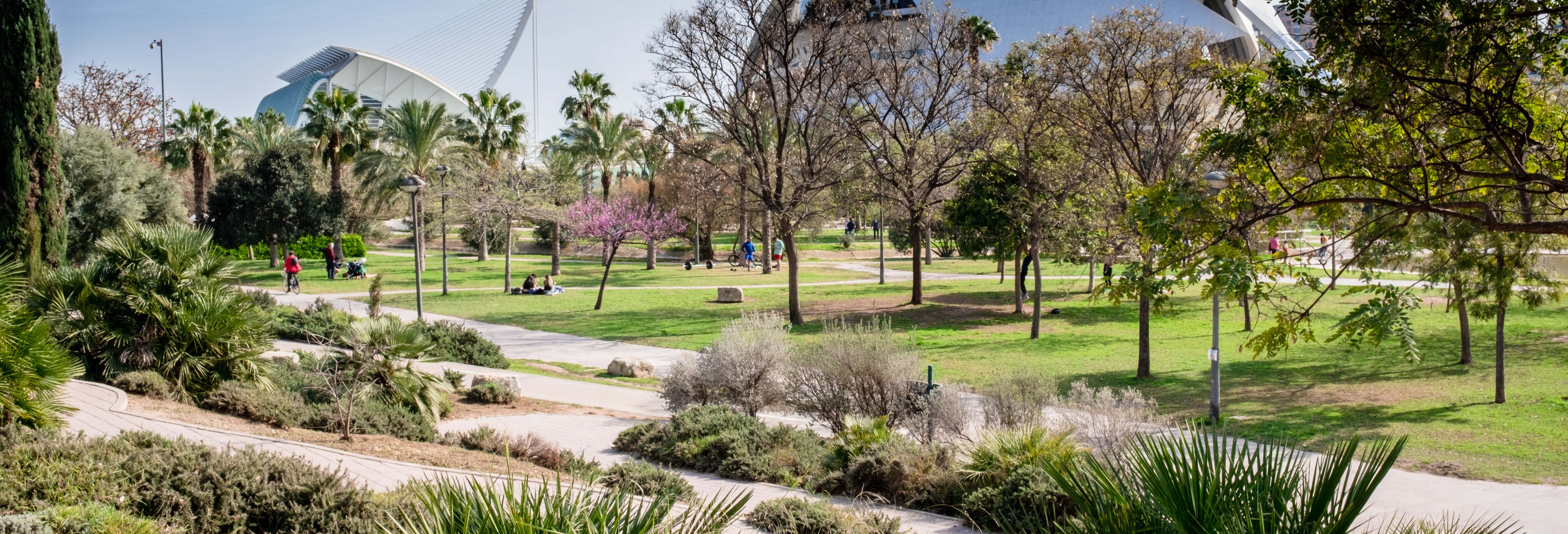 Tour in bicicletta a Valencia