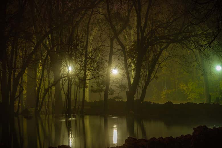 Cai a noite no Campo Grande de Valladolid