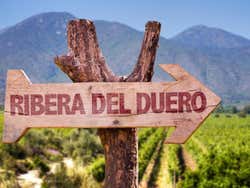 Denominación de origen Ribera del Duero