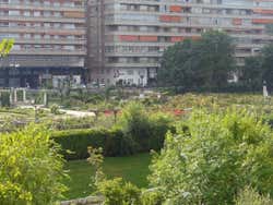 A Rosaleda