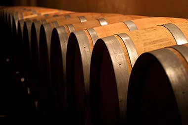 Enoturismo en Valladolid