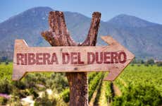 Tour del vino por Valladolid