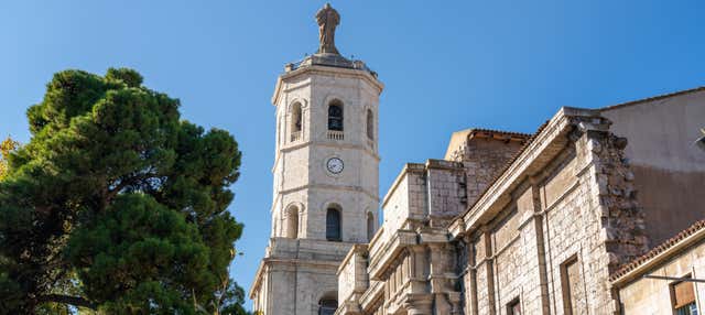 Visite de la tour de la cathédrale