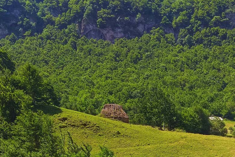 Cabane teito