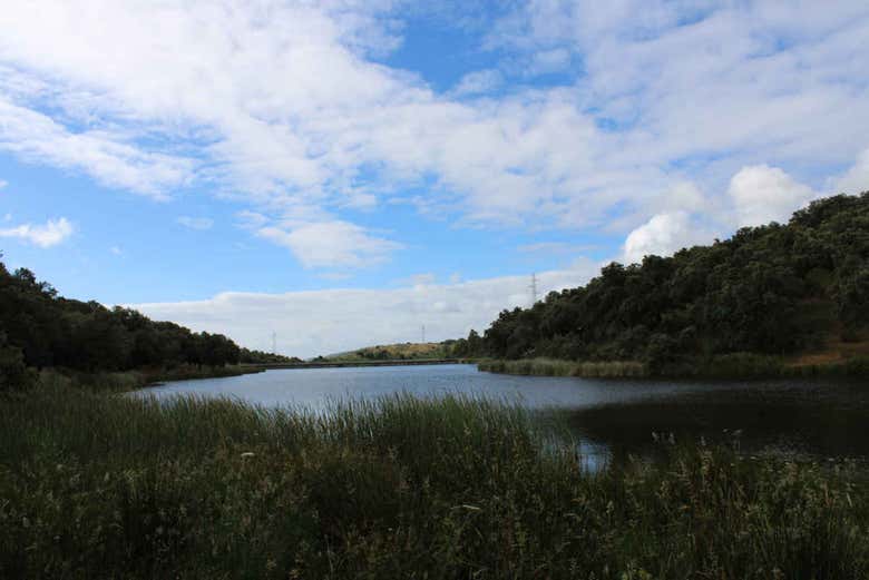 Trilha no meio da natureza