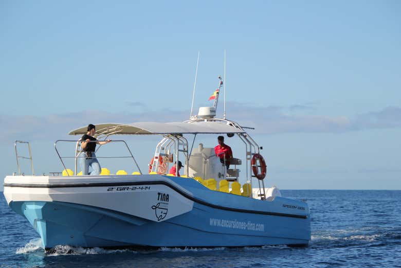 Navegando por las costas de La Gomera