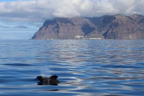 Admire incredible views from the boat