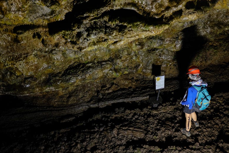 Visiting the Cueva del Burro