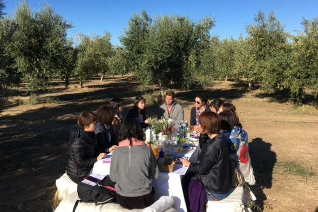 Disfrutando de un picnic en el olivar