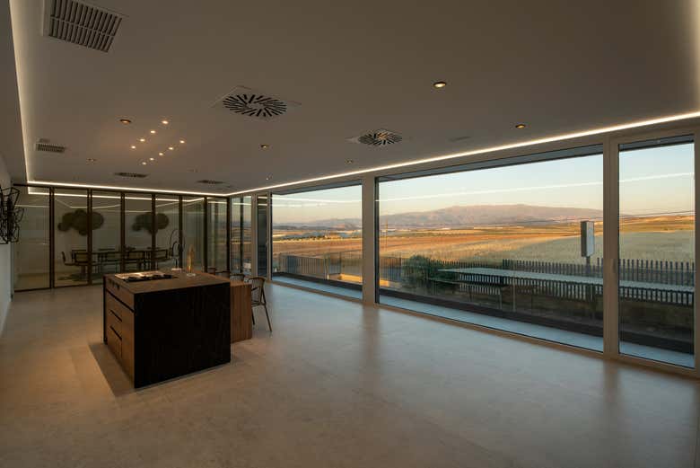 Sala de catas de la almazara con vistas al olivar