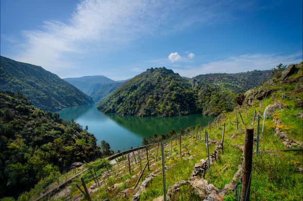 Excursión a la Ribeira Sacra