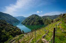 Escursione alla Ribeira Sacra